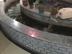 -夏家大锅台炖鱼馆