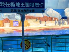 -海合安武汉极地海洋公园