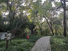-汇龙潭
