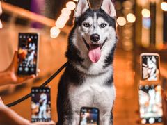 -峰厨大鱼泡饼(西青大学城店)