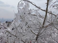 -紫金山山顶公园