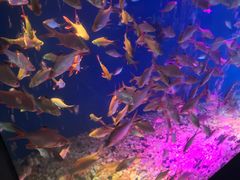 -成都浩海立方海洋公园