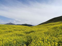 -扁都口生态休闲旅游区