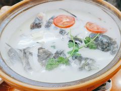 -全乐鱼馆·淳牌有机鱼直营店
