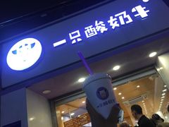 门面-一只酸奶牛(八一路店)