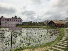 -蔡家宅