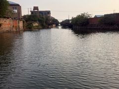 -长广溪湿地公园