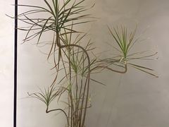 -满堂匠心川宴·私房菜(天府三街店)