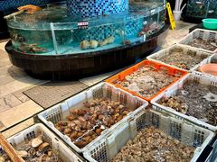 -鹏城人家海鲜酒家·23年老字号(较场尾店)