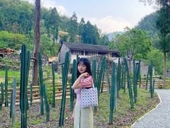 -MOJ coffee(瓯海泽雅水碓坑店)