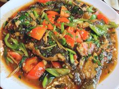 -生态苑农庄(十里画廊遇龙河店)