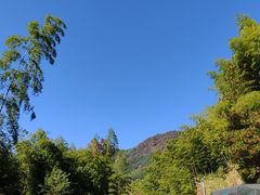 -塔川景区