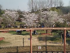 -自然谷恐龙园