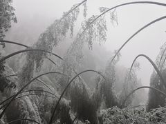 -井冈山风景名胜区