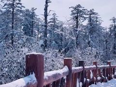 -瓦屋山景区