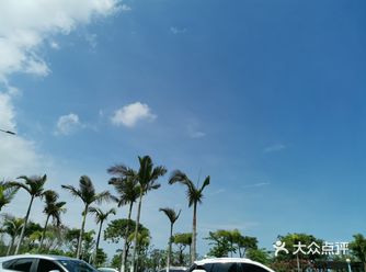 特毒辣的太阳之华发绿洋湾