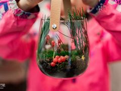 -甲乙果 美术书法(通州校区)