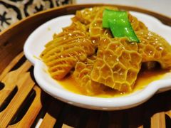 -点都德·毕德寮
