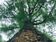 -狼山风景名胜区