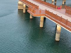 -五缘湾湿地公园