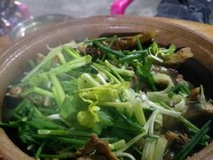 -霞姐屯昌枫木香草鸭店(海螺店)