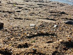 -那香海钻石沙滩浴场