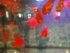 android_upload_pic-上海老饭店(北京分店)