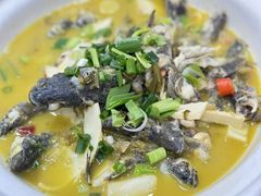 -小小饭店·休闲农庄·安吉松树林里的农家菜