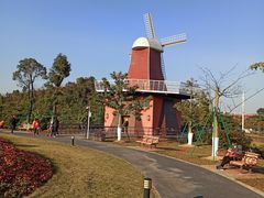 -东莞植物园
