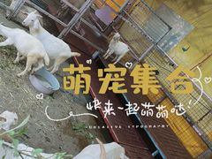 -盈香心动乐园