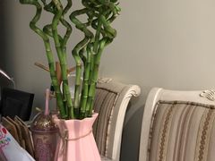 -龙大花卉苗木市场