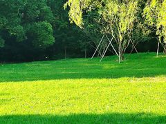 -上海共青森林公园