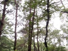 -萨尔浒风景区