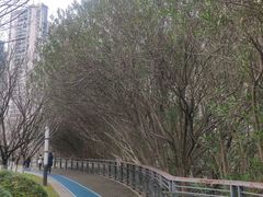 -苏州河梦清园环保主题公园