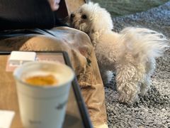 -J Create城市露营咖啡·简餐·宠物(上海动物园店)