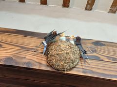 -高老庄·老溧阳·私房菜(南山竹海店)