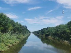 -黄海国家森林公园