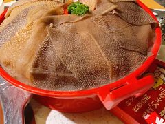 -大龙燚火锅