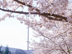 -江南大学(蠡湖校区)