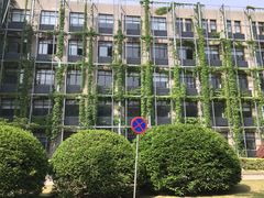 -同济大学（四平路校区）-图书馆