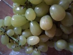 -鲜丰水果(番禺路店)