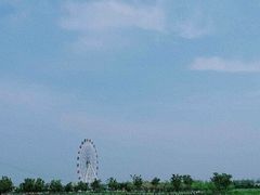 -金卉庄园