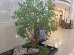 -清能楚天大酒店(深圳福田口岸会展中心店)