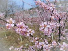 -山东大学(兴隆山校区)