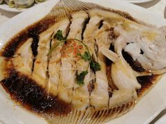清蒸多宝鱼-新洪记·丽久饭店(铁西店)