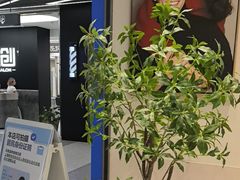 -天真蓝照相馆(五角场百联又一城店)