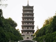 -宜兴龙背山森林公园
