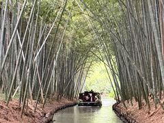 -同里国家湿地公园