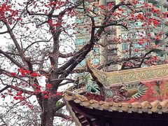 -烈士陵园(地铁站)