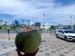 -大梅沙海滨公园